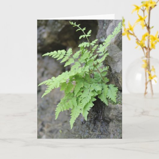 Vroege lente varen kaart (Gele Bloem)