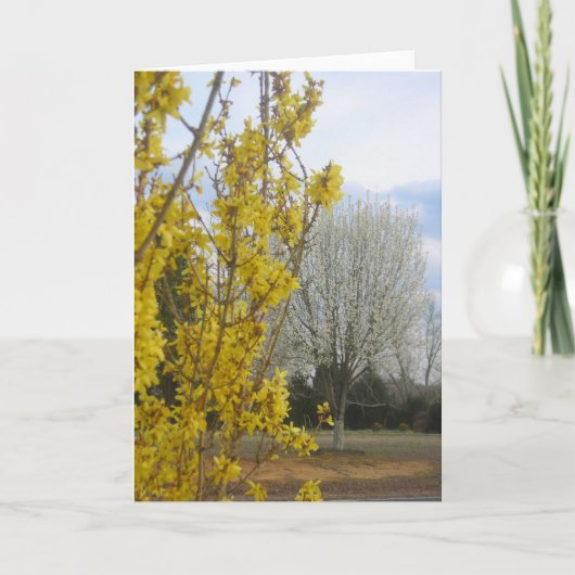 Vroege lente - Wenskaart Kaart (Voorkant)