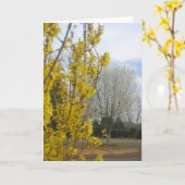 Vroege lente - Wenskaart Kaart (Gele Bloem)
