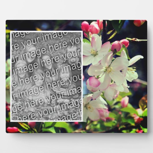 Vroege lentebloesems Creëer Uw eigen foto Fotoplaat (Voorkant)