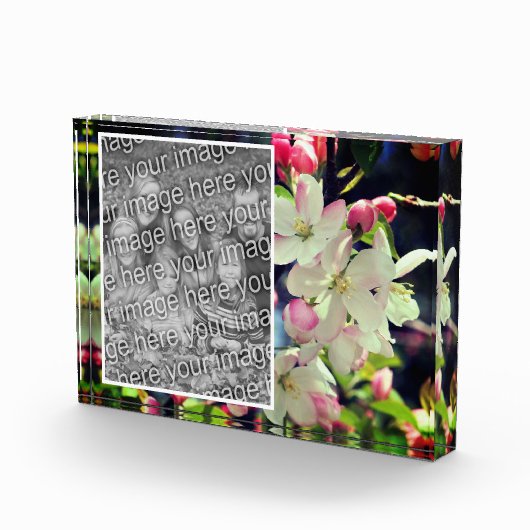 Vroege lentebloesems Creëer uw eigen Fotoblokken (Rechts)