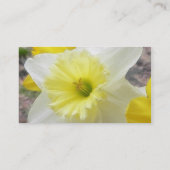 Vroege lentedaffodil visitekaartje (Achterkant)