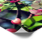 Vroege lenteskrabappe bloesems 3 Sluiten op Poster (Hoek)