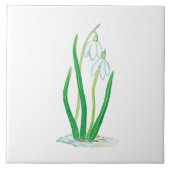Vroege lentesnowdruppels tegeltje (Voorkant)