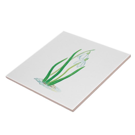 Vroege lentesnowdruppels tegeltje (Zijkant)