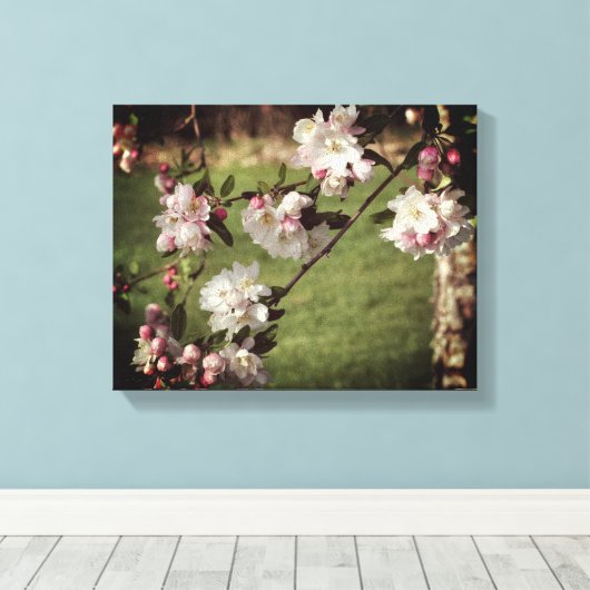 Vroege lentroze en witte bloesems gekleurd canvas afdruk (Insitu (Houten vloer))