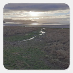 Vroege Morecambe Bay Vierkante Sticker