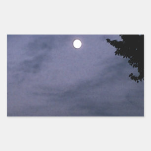 vroege nacht rechthoekige sticker