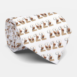 Vroege Nieuwjaren 2023 Stijgend ten opzichte van d Stropdas