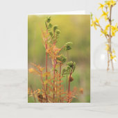 Vroege ochtend Ferns Blank Wenskaart Kaart (Gele Bloem)