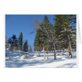 Vroege ochtend in de Sierras