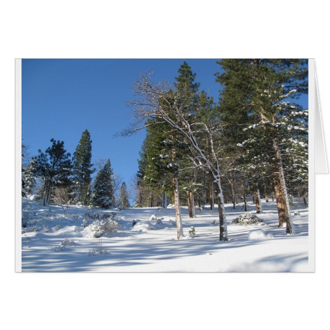 Vroege ochtend in de Sierras (Voorkant Horizontaal)