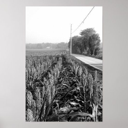 Vroege ochtend in het veld Milo Poster (Voorkant)
