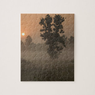 Vroege ochtend, opkomende zon en grondmist legpuzzel