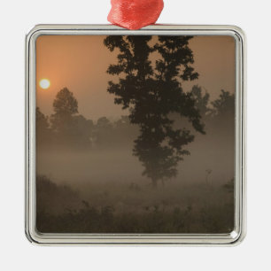 Vroege ochtend, opkomende zon en grondmist metalen ornament