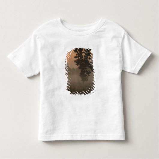 Vroege ochtend, stijgende zon en gemalen mist kinder shirts (Voorkant)