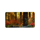 vroege ochtendwandeling etiket (Voorkant)