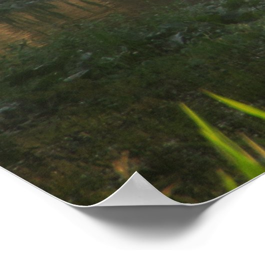 Vroege ochtendzwemtocht poster (Hoek)