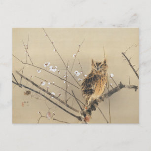 Vroege pruimbloesems van Nishimura Goun,  Owl Briefkaart