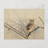 Vroege pruimbloesems van Nishimura Goun,  Owl Briefkaart (Voorkant)