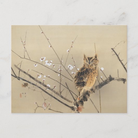Vroege pruimbloesems van Nishimura Goun,  Owl Briefkaart (Voorkant)