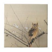 Vroege pruimbloesems van Nishimura Goun,  Owl Tegeltje (Voorkant)