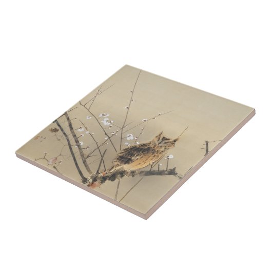 Vroege pruimbloesems van Nishimura Goun,  Owl Tegeltje (Zijkant)