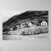 Vroege scène van Kodiak, Alaska-foto Poster (Voorkant)