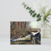 Vroege sneeuwval op de Cherohala Skyway Briefkaart (Staand voorkant)