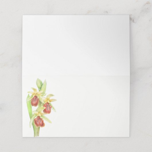 Vroege spin orchidee waterverf gast plaats kaarten plaatskaartje (Buitenkant ongevouwen)