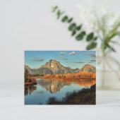 Vroege verlichting in Wyoming aan Oxbow Bend Briefkaart (Staand voorkant)
