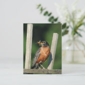 Vroege vogel briefkaart (Staand voorkant)