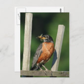 Vroege vogel briefkaart (Voorkant / Achterkant)