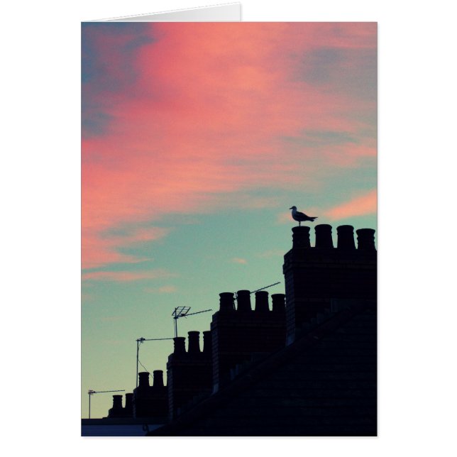 Vroege vogels (Voorkant)