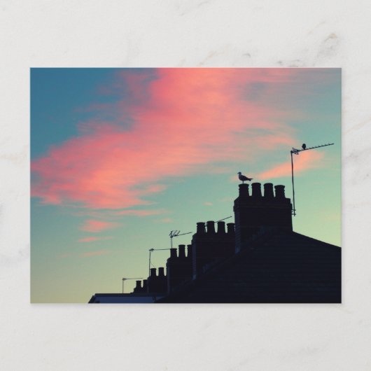 Vroege vogels briefkaart (Voorkant)