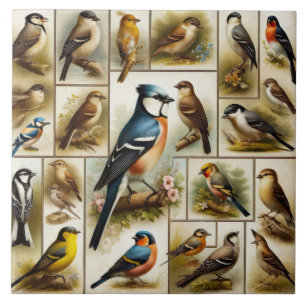 Vroege vogels tegeltje