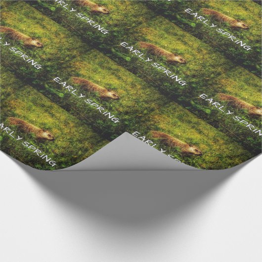 Vroege voorverpakte papier (Hoek)