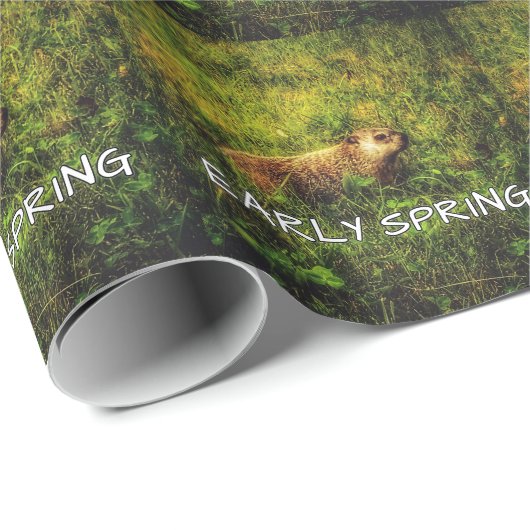 Vroege voorverpakte papier (Rol Hoek)