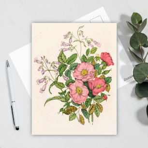 Vroege wilde Roos, Pentstèmon Beard-Tongue (1868) Briefkaart