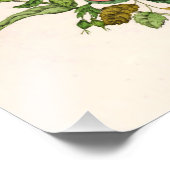 Vroege wilde Roos, Pentstèmon Beard-Tongue (1868) Foto Afdruk (Hoek)