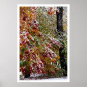 Vroege winter poster (Voorkant)