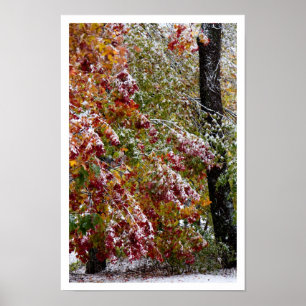 Vroege winter poster