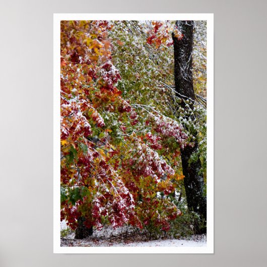 Vroege winter poster (Voorkant)