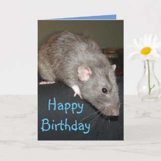 Vrolijk Birthday! Blauwe rat Card Kaart