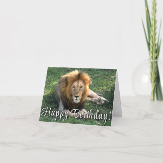 Vrolijk Birthday! Lion's Roar Birthday Kaart