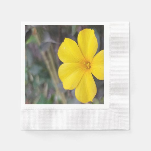 Vrolijk Bloemen servies voor Feesten & Evenementen Servet (Voorkant)