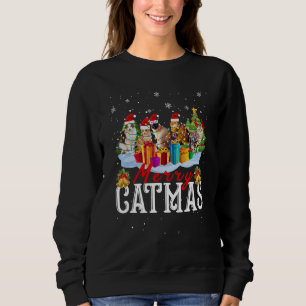 Vrolijk Catmas Kat Xmas Bijpassende Familie Groep Trui