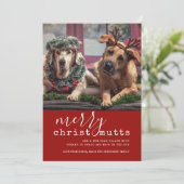 Vrolijk Christus MUTTS Hond Foto Cute Simple Feestdagenkaart (Staand voorkant)