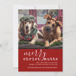 Vrolijk Christus MUTTS Hond Foto Cute Simple Feestdagenkaart