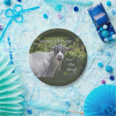 Vrolijk gebed je oude geit Bord (Feest)